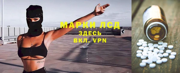 молекула духа Бородино