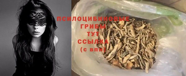 молекула духа Бородино