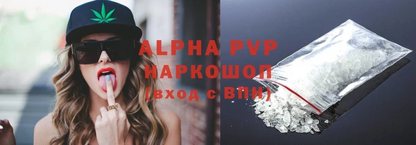 молекула духа Бородино