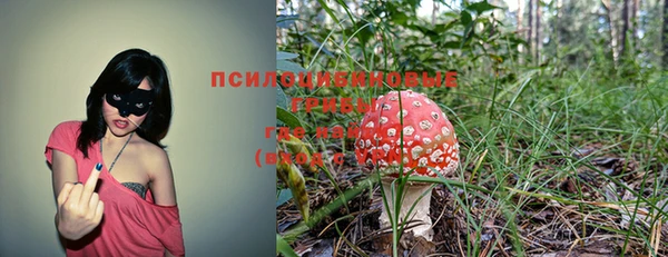 спиды Верхний Тагил
