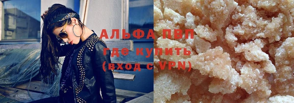 молекула духа Бородино