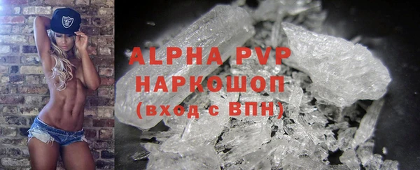 молекула духа Бородино