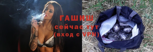 молекула духа Бородино